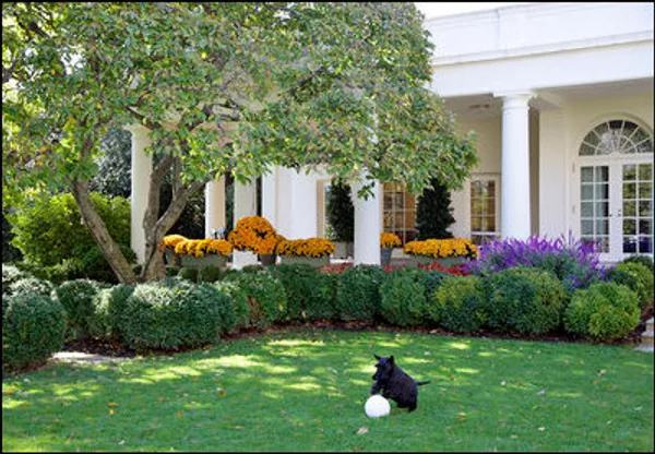 The White House Rose Garden lawn looking toward the Oval Office